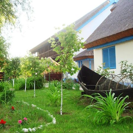 Casa Dintre Salcii Hotel Uzlina Ngoại thất bức ảnh