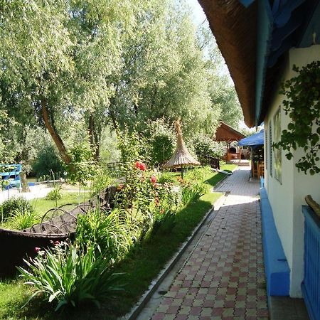 Casa Dintre Salcii Hotel Uzlina Ngoại thất bức ảnh