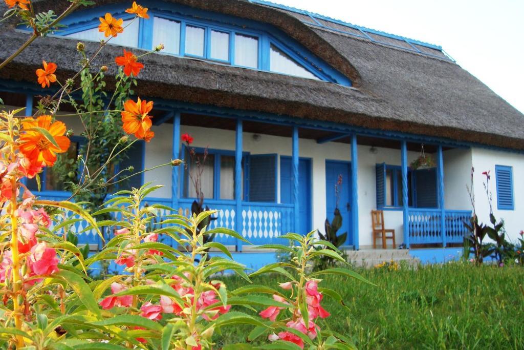 Casa Dintre Salcii Hotel Uzlina Ngoại thất bức ảnh